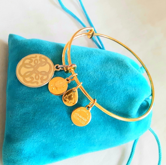 Alex And Ani PATCH OF LIFE BRIGHT BRONZE  EUC GOLD Bangle Bracelet are a… - Picture 1 of 5
